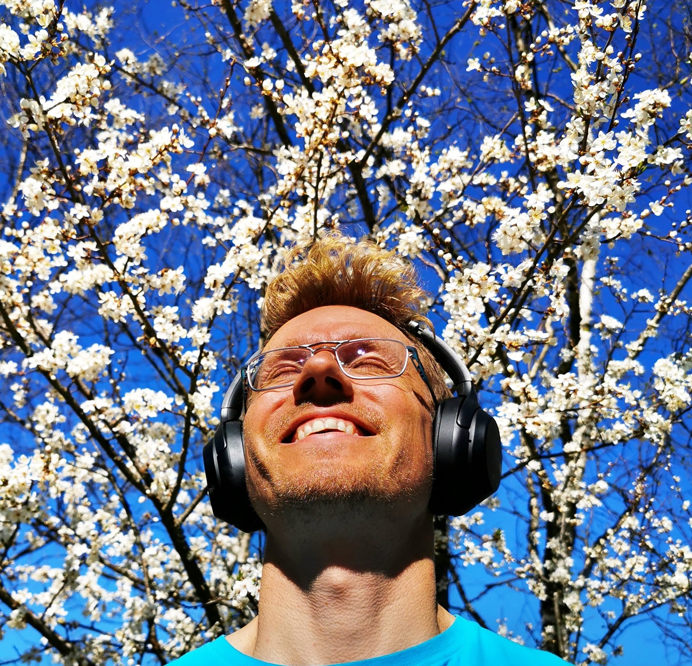 Villen viinitarha ja valmennus